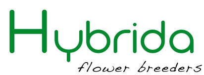 hybrida logo
